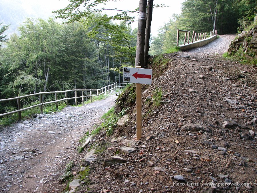 maslnaa-curo 005.jpg - Siamo sul sentiero CAI 305 già al bivio...a destra si sale al Rifugio Curò dal sentiero panoramico, a sinistra si raggiunge l'Osservatorio faunistco di Maslana.Qui si può giungere salendo la 'gippabile' che parte dalla contrada Beltrame (934 m.)  di Valbondione o salendo dalla località Grumetti (975 m.) percorrendo un ripido sentiero che parte a destra della cappelletta  e si innalza nel bosco, raggiungendo la gippabile  a circa 1150 m. 